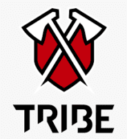 tribe gaming